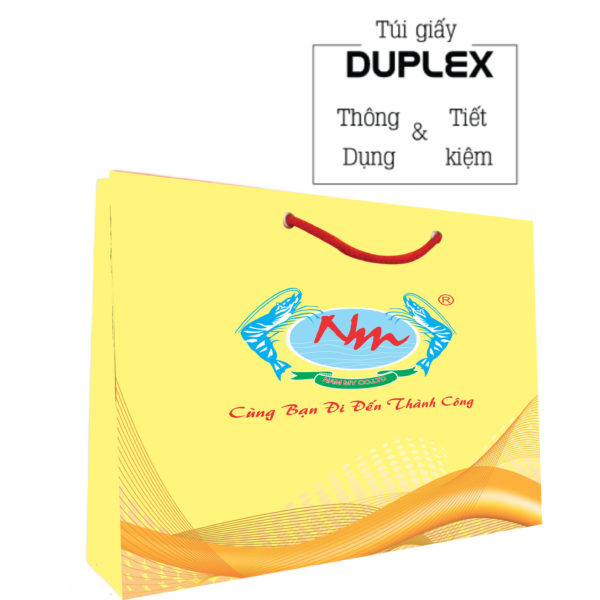 Mẫu túi giấy Duplex